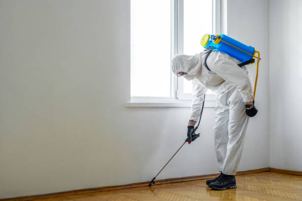 Pest Prevention Services in Happy Valley, OR